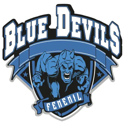 Logo BDS